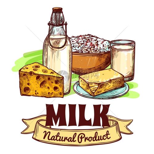 牛奶产品草图牛奶天然乳制品与文字标志草图手绘颜色无缝矢量插图